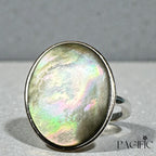 Bague Océanique – Ormeau Sacré, Calme Intérieur & Clarté d’Esprit