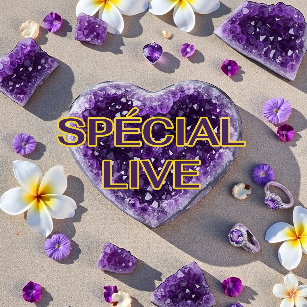 SPECIAL LIVE TIK TOK/ CLAPPER / INSTA