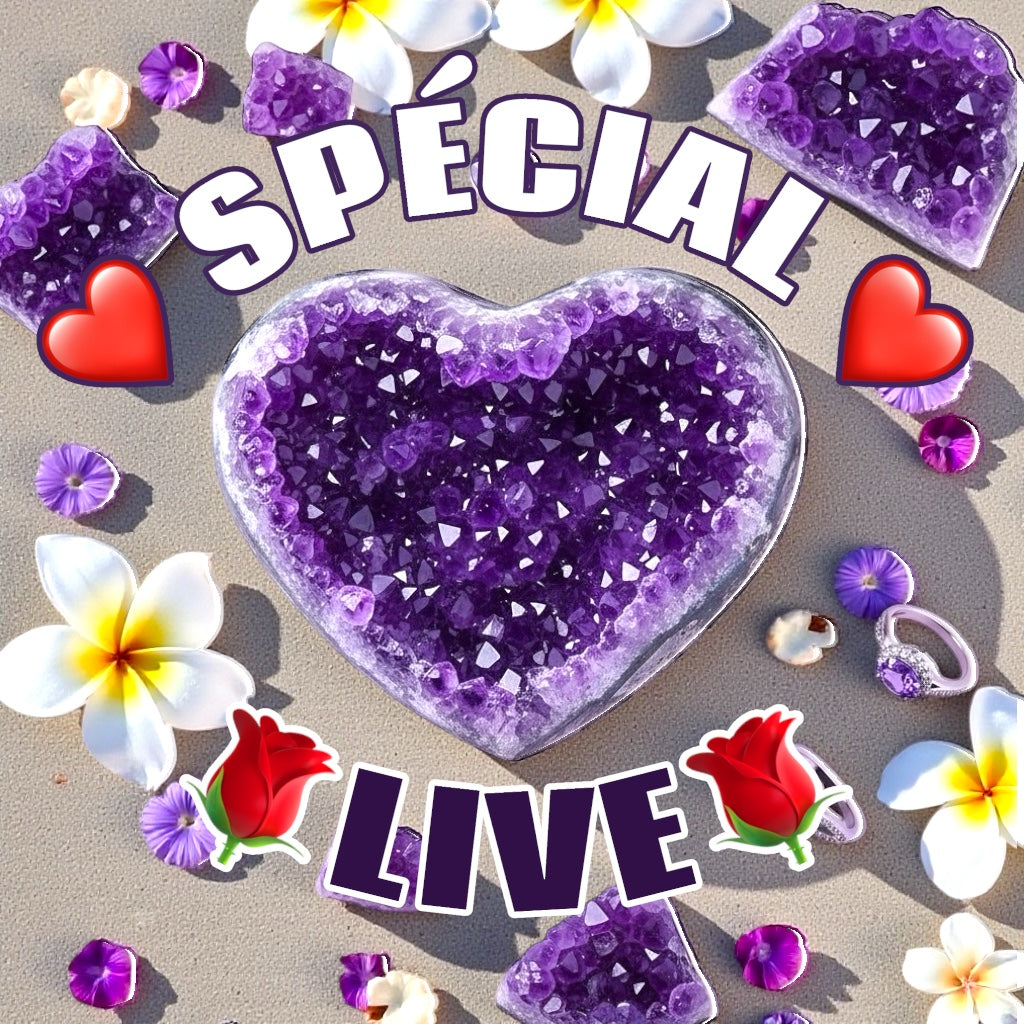 SPECIAL LIVE TIK TOK/ CLAPPER / INSTA
